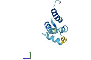 AlphaFold protein structure predicition of Human Recombinant S100A16 Protein, UniprotID Q96FQ6