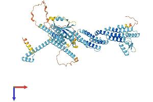 AlphaFold protein structure predicition of Human Recombinant EXOC8 Protein, UniprotID Q8IYI6
