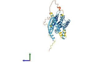 AlphaFold protein structure predicition of Mouse Recombinant Septin1 Protein, UniprotID P42209