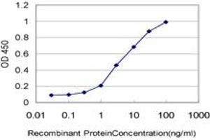 Detection limit for recombinant GST tagged CKS2 is approximately 0. (CKS2 anticorps  (AA 1-79))