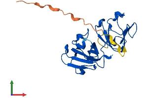 AlphaFold protein structure predicition of Human Recombinant CRYBA1 Protein, UniprotID P05813
