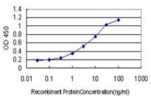 Detection limit for recombinant GST tagged HOXA7 is approximately 0.