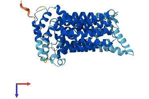 AlphaFold protein structure predicition of Mouse Recombinant Slc2a3 Protein, UniprotID P32037
