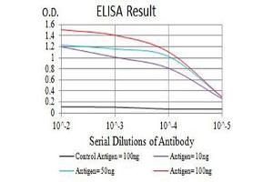 Black line: Control Antigen (100 ng),Purple line: Antigen (10 ng), Blue line: Antigen (50 ng), Red line:Antigen (100 ng) (ICAM2 anticorps  (AA 25-223))
