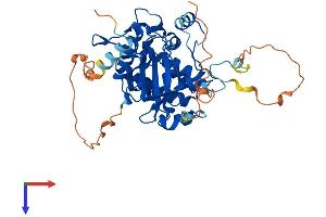 AlphaFold protein structure predicition of Mouse Recombinant Strada Protein, UniprotID Q3UUJ4