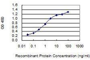 Detection limit for recombinant GST tagged ECT2 is 0.