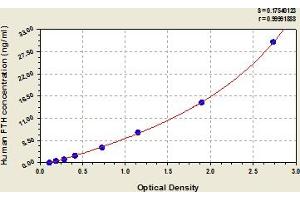 Ferritin, Heavy Polypeptide 1 (FTH1) ELISA Kit