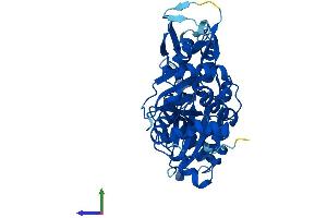AlphaFold protein structure predicition of Mouse Recombinant Actr2 Protein, UniprotID P61161