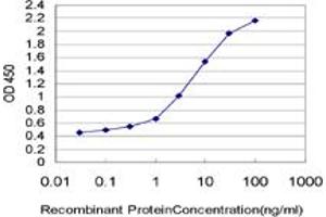 Detection limit for recombinant GST tagged FGL1 is approximately 0. (FGL1 anticorps  (AA 19-312))