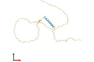 AlphaFold protein structure predicition of Human Recombinant TCEAL6 Protein, UniprotID Q6IPX3