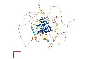 AlphaFold protein structure predicition of Mouse Recombinant Gas2l2 Protein, UniprotID Q5SSG4