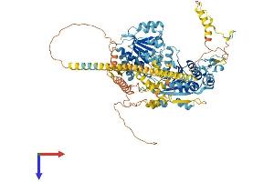 AlphaFold protein structure predicition of Mouse Recombinant Hells Protein, UniprotID Q60848