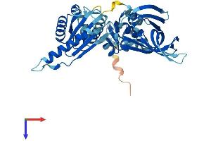 AlphaFold protein structure predicition of Human Recombinant PELO Protein, UniprotID Q9BRX2
