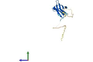 AlphaFold protein structure predicition of Mouse Recombinant Hspb7 Protein, UniprotID P35385