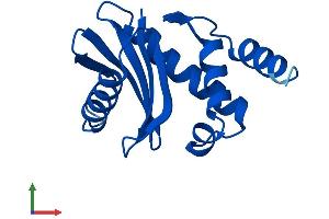 AlphaFold protein structure predicition of Human Recombinant AP2S1 Protein, UniprotID P53680