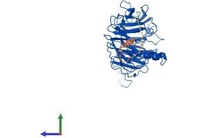 AlphaFold protein structure predicition of Mouse Recombinant Ercc8 Protein, UniprotID Q8CFD5