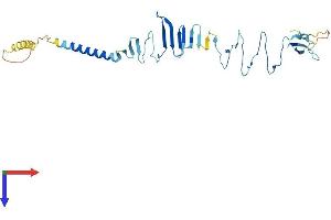 AlphaFold protein structure predicition of Mouse Recombinant Sgcz Protein, UniprotID Q8BX51