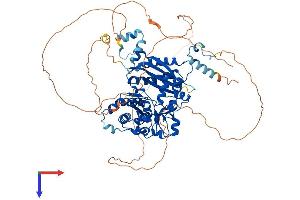AlphaFold protein structure predicition of Human Recombinant POLI Protein, UniprotID Q9UNA4