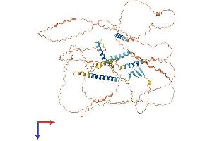 AlphaFold protein structure predicition of Human Recombinant HJURP Protein, UniprotID Q8NCD3