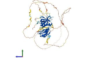 AlphaFold protein structure predicition of Mouse Recombinant Sh3bp2 Protein, UniprotID Q06649