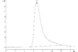 The purity of Human CLEC12A is greater than 95 % as determined by SEC-HPLC. (CLEC12A Protein (AA 65-265) (Fc Tag))