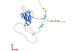 AlphaFold protein structure predicition of Mouse Recombinant Mvb12b Protein, UniprotID Q6KAU4