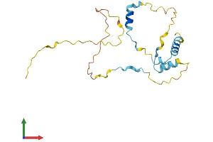 AlphaFold protein structure predicition of Human Recombinant MEA1 Protein, UniprotID Q16626
