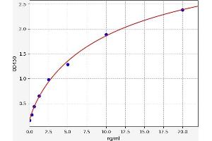 Typical standard curve (APEX1 Kit ELISA)