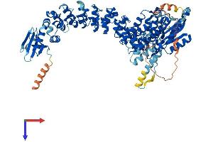 AlphaFold protein structure predicition of Mouse Recombinant Pla2g6 Protein, UniprotID P97819