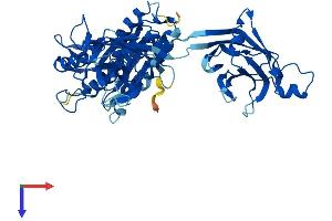 AlphaFold protein structure predicition of Mouse Recombinant Cpne3 Protein, UniprotID Q8BT60