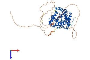 AlphaFold protein structure predicition of Mouse Recombinant Ccna1 Protein, UniprotID Q61456