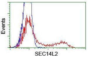 Image no. 3 for anti-SEC14-Like 2 (SEC14L2) antibody (ABIN1500852) (SEC14L2 anticorps)