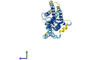 AlphaFold protein structure predicition of Mouse Recombinant Jkamp Protein, UniprotID Q8BI36