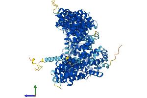 AlphaFold protein structure predicition of Human Recombinant XPO1 Protein, UniprotID O14980