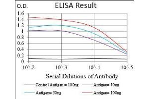 Black line: Control Antigen (100 ng), Purple line: Antigen(10 ng), Blue line: Antigen (50 ng), Red line: Antigen (100 ng),