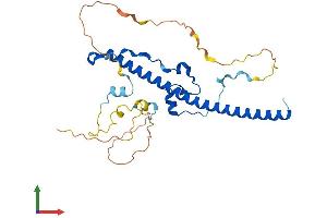 AlphaFold protein structure predicition of Mouse Recombinant Hlf Protein, UniprotID Q8BW74