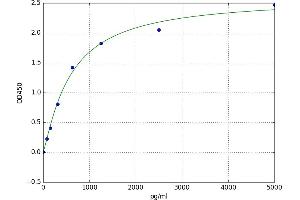 Urocortin 2 (UCN2) ELISA Kit