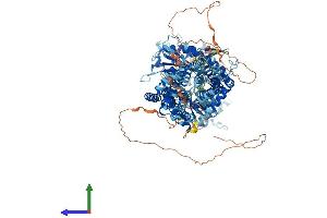AlphaFold protein structure predicition of Human Recombinant PTCH2 Protein, UniprotID Q9Y6C5