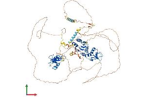 AlphaFold protein structure predicition of Human Recombinant MCPH1 Protein, UniprotID Q8NEM0