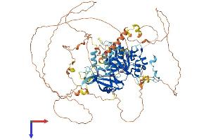 AlphaFold protein structure predicition of Mouse Recombinant Lpin2 Protein, UniprotID Q99PI5