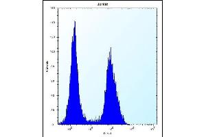 PRSS7 Antibody (C-term ) (ABIN656189 and ABIN2845515) flow cytometric analysis of Jurkat cells (right histogram) compared to a negative control cell (left histogram). (TMPRSS15 anticorps  (C-Term))