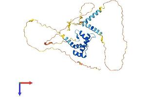 AlphaFold protein structure predicition of Human Recombinant MKX Protein, UniprotID Q8IYA7