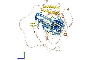AlphaFold protein structure predicition of Mouse Recombinant Sec23ip Protein, UniprotID Q6NZC7