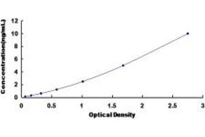 Typical standard curve (DPAGT1 Kit ELISA)