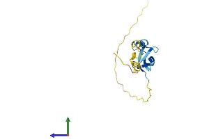 AlphaFold protein structure predicition of Mouse Recombinant Limd2 Protein, UniprotID Q8BGB5