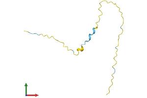 AlphaFold protein structure predicition of Human Recombinant HMGN4 Protein, UniprotID O00479