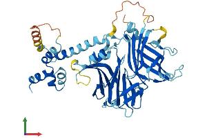 AlphaFold protein structure predicition of Mouse Recombinant Fbxo15 Protein, UniprotID Q9QZN0