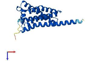 AlphaFold protein structure predicition of Human Recombinant EBPL Protein, UniprotID Q9BY08