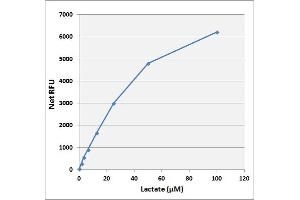 Lactate standard curve. (Lactate Assay Kit (Fluorometric))