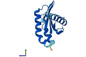 AlphaFold protein structure predicition of Mouse Recombinant Lamtor2 Protein, UniprotID Q9JHS3